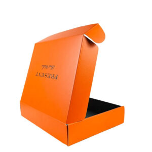 Lingerie Corrugated Paper Boxes FJ017